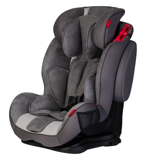 Child Car Seat Safety